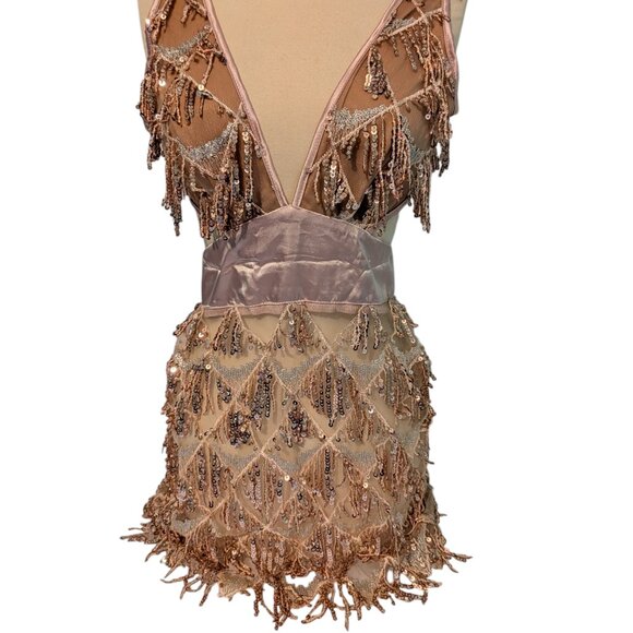 Dress L Sequin Tassel Fringe Sheer Mesh Champaign Louisa Mini Bella Barnett New - Picture 8 of 9